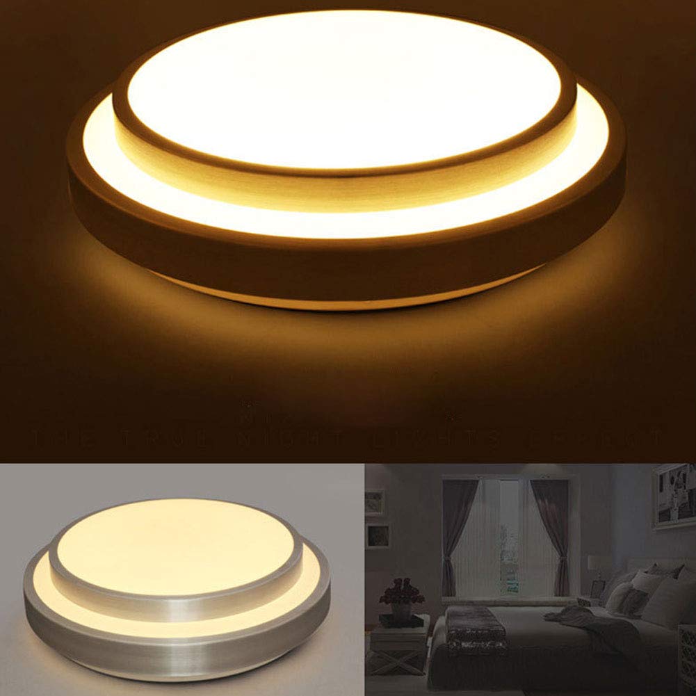 20 Inch Double Round Flush Mount Ceiling Light - 48W Dimmable LED Fixture with Remote Control - 3000K-6000K Adjustable Color Temperature - White & Brushed Nickel Finish - Perfect for Bedroom, Kitchen, Dining Room, Hallway and Office Lighting