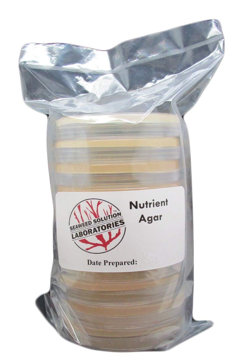 Sterilized Nutrient Agar - 10 Pack of 100mm x 15mm Petri Dishes for Microbiology Lab, Bacterial Culture, and Research Experiments