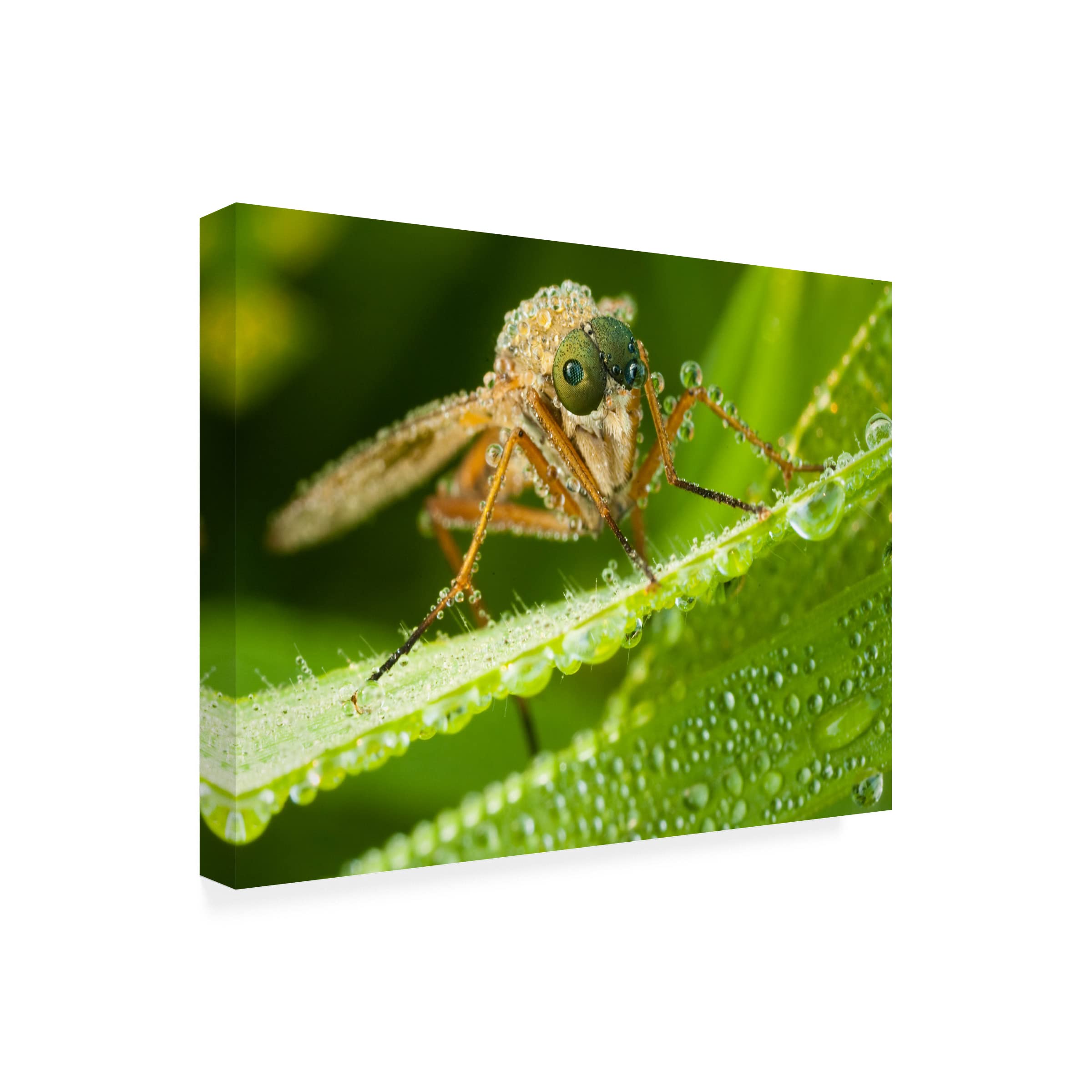Trademark Fine Art 'Alien' Canvas Print by Robert Adamec - Sci-Fi Wall Decor for Living Room, Bedroom & Office