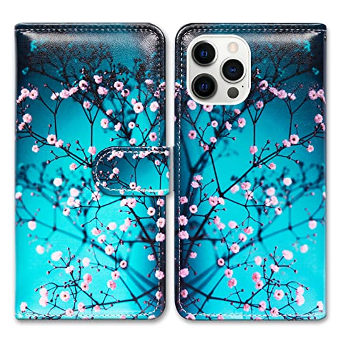 Plum Blossom