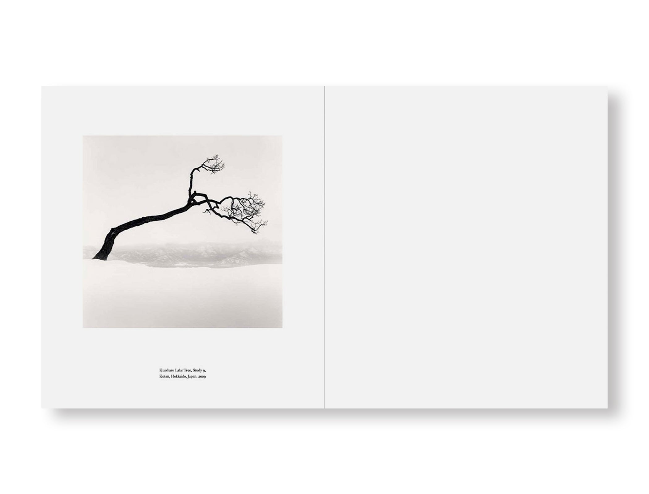 Michael Kenna Photography Book - Stunning Black & White Landscape Photos & Stories | Perfect for Art Lovers, Coffee Table Decor, and Photography Inspiration