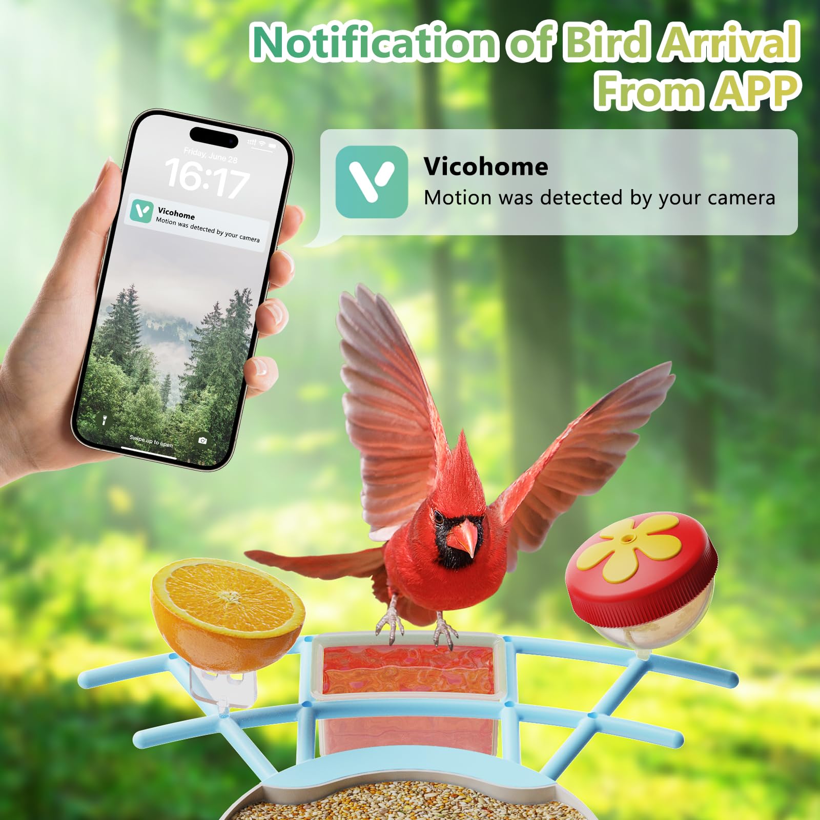Smart Bird Feeder with Camera - Solar Powered Outdoor Bird Watching House, Full HD AI Recognition & Auto Video Capture - Perfect for Bird Lovers & Wildlife Enthusiasts (Great for Backyard, Garden & Nature Observation)