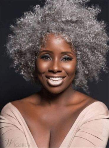 FidgetGear 12 Inch Kinky Curly Salt and Pepper Synthetic Capless Wig for Women - Natural Looking Heat Resistant Hairpiece for Cosplay, Costume Parties & Daily Wear