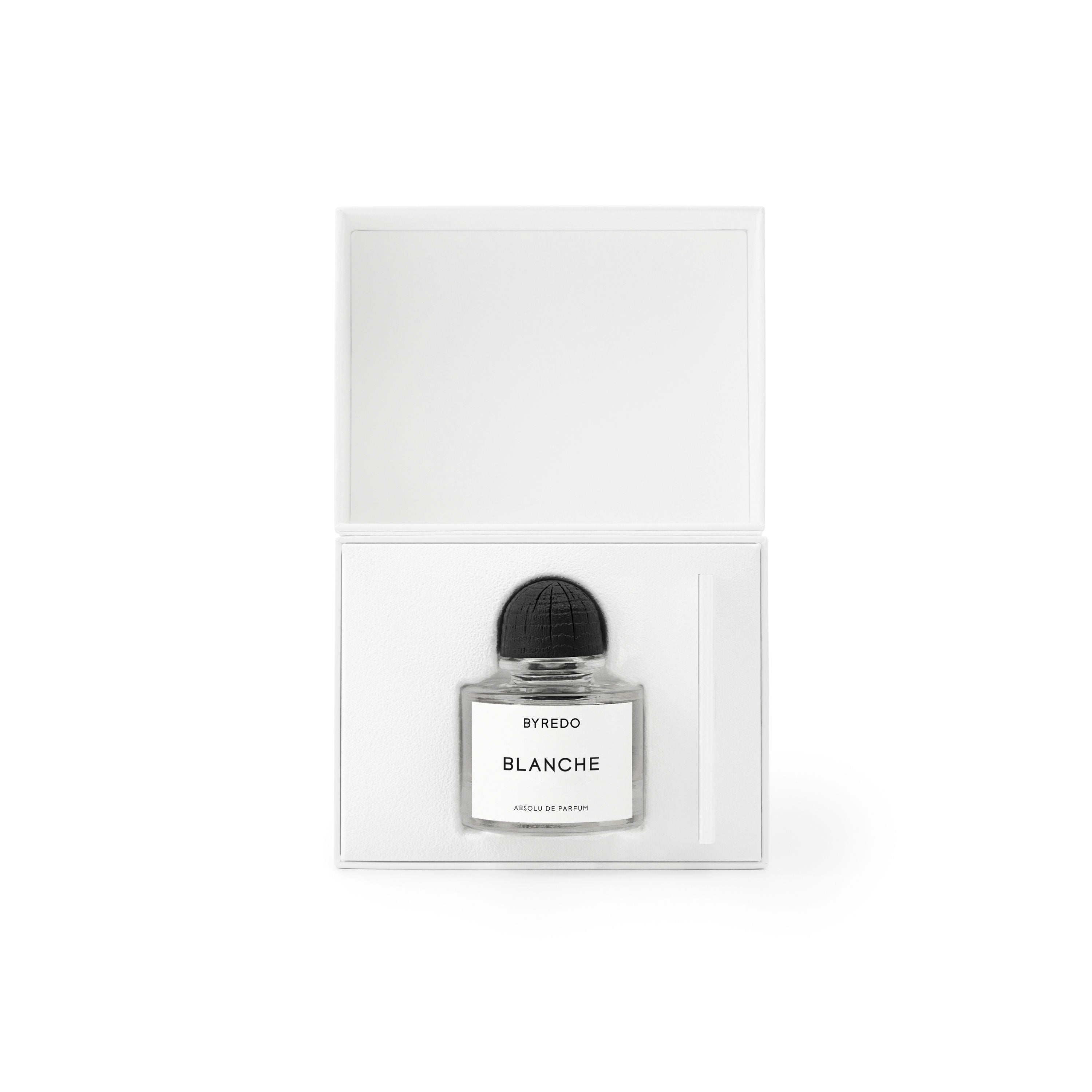 Blanche Absolu Perfume for Women - Luxury Floral Scent, Long-Lasting Fragrance - Perfect for Daily Wear, Date Nights & Special Occasions