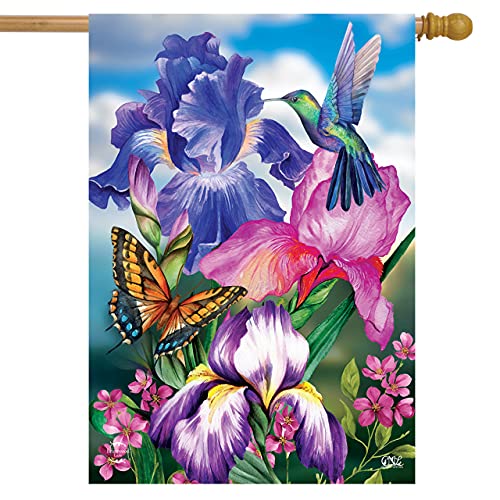 15 - Irises Garden