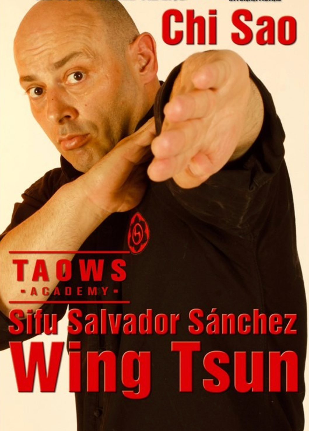 Salvador Sanchez Wing Chun Chi Sao Training DVD - Learn Self Defense & Martial Arts Techniques for Home Practice