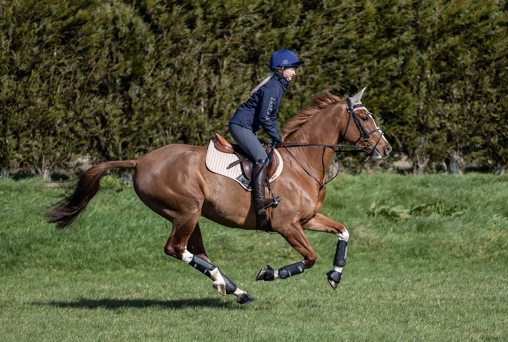 LeMieux Carbon Air XC Cross Country Hind Horse Boots - Breathable & Protective Equine Training Gear for Jumping & Dressage - Black/Medium Size for Comfort & Performance