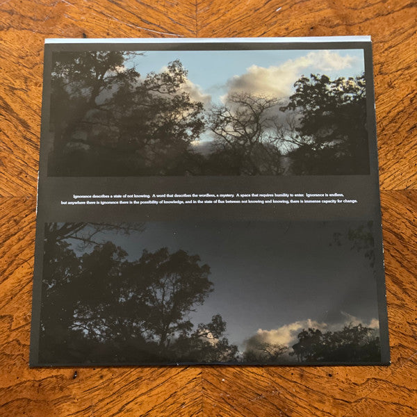Ignorance by The Weather Station - Vinyl LP Album (Near Mint NM/M Condition) - Perfect for Record Collectors & Audiophiles
