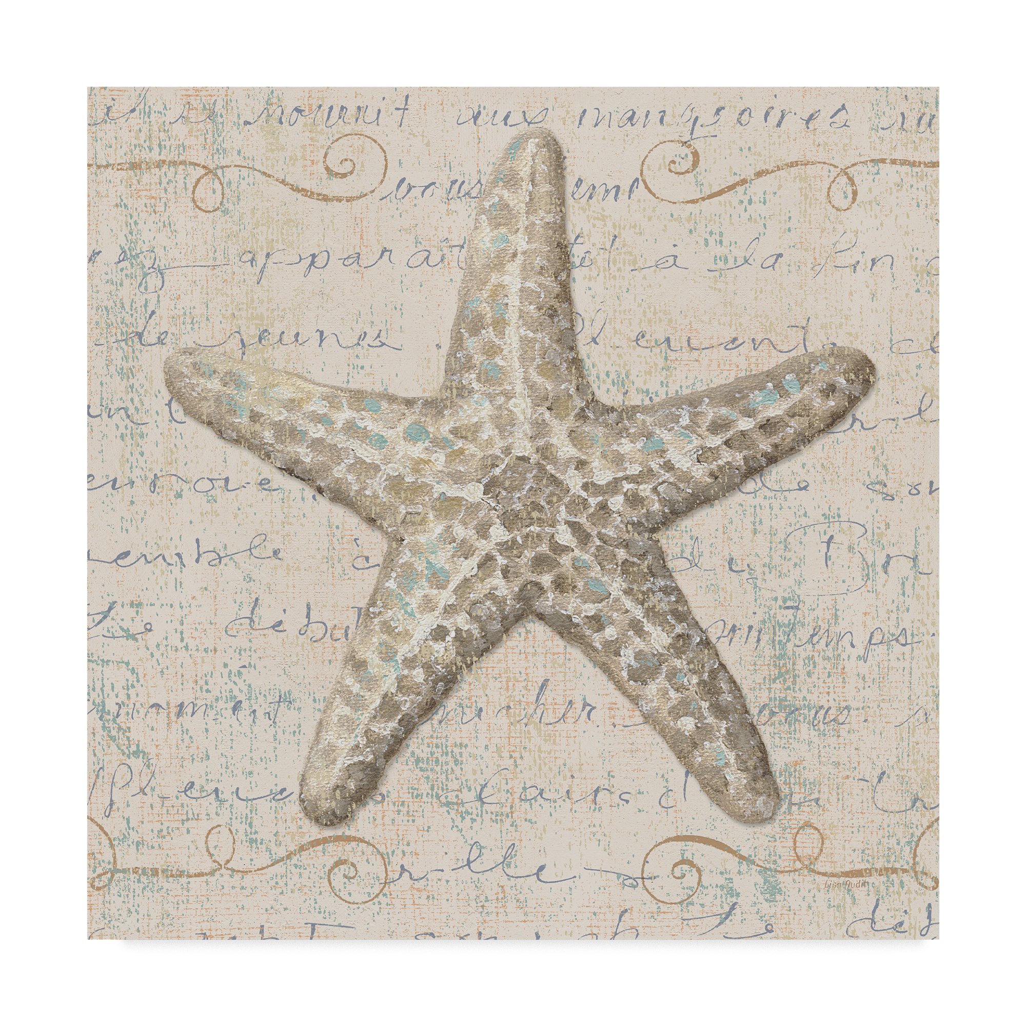 Coastal Beauty II by Lisa Audit - 24x24 Inch Wall Art Canvas Print, Beach Home Decor for Living Room, Bedroom & Office