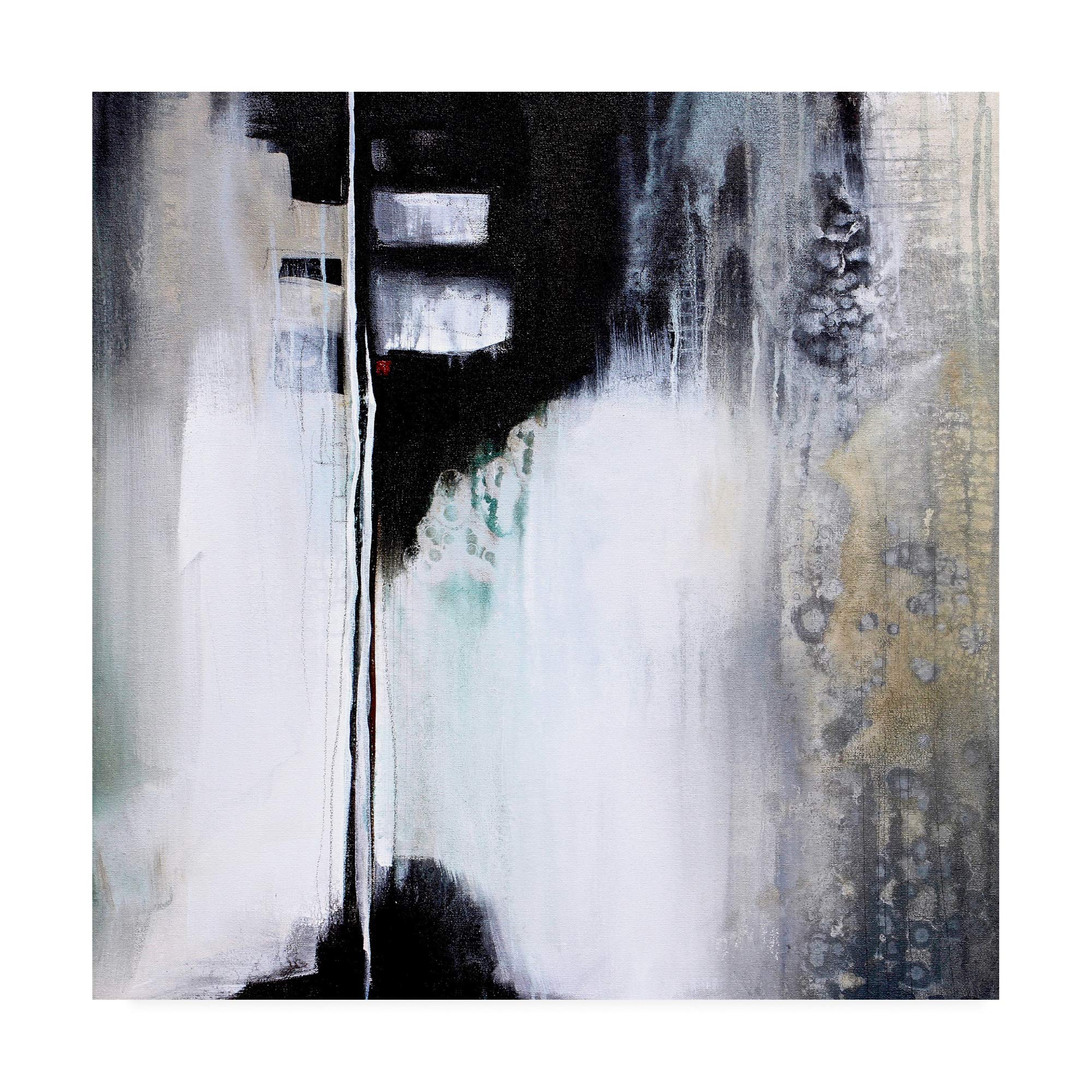 Karen Hal Black and White Drama Fine Art Print - 18x18 Inches - Modern Abstract Wall Decor for Living Room, Bedroom & Office