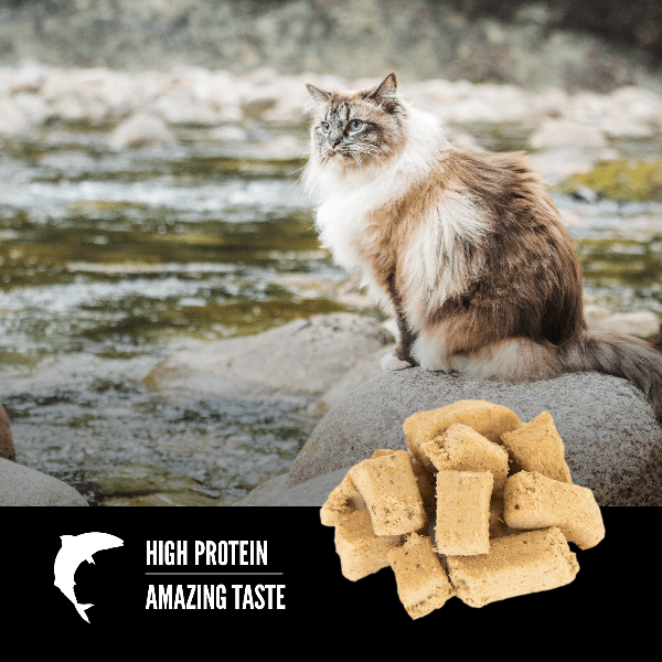 Orijen Six Fish Freeze Dried Cat Treats - Premium Grain-Free Cat Snacks for Training & Rewards - High Protein Natural Cat Food Topper for Indoor & Outdoor Cats