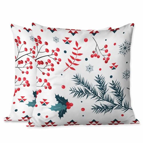 Chrismasa032