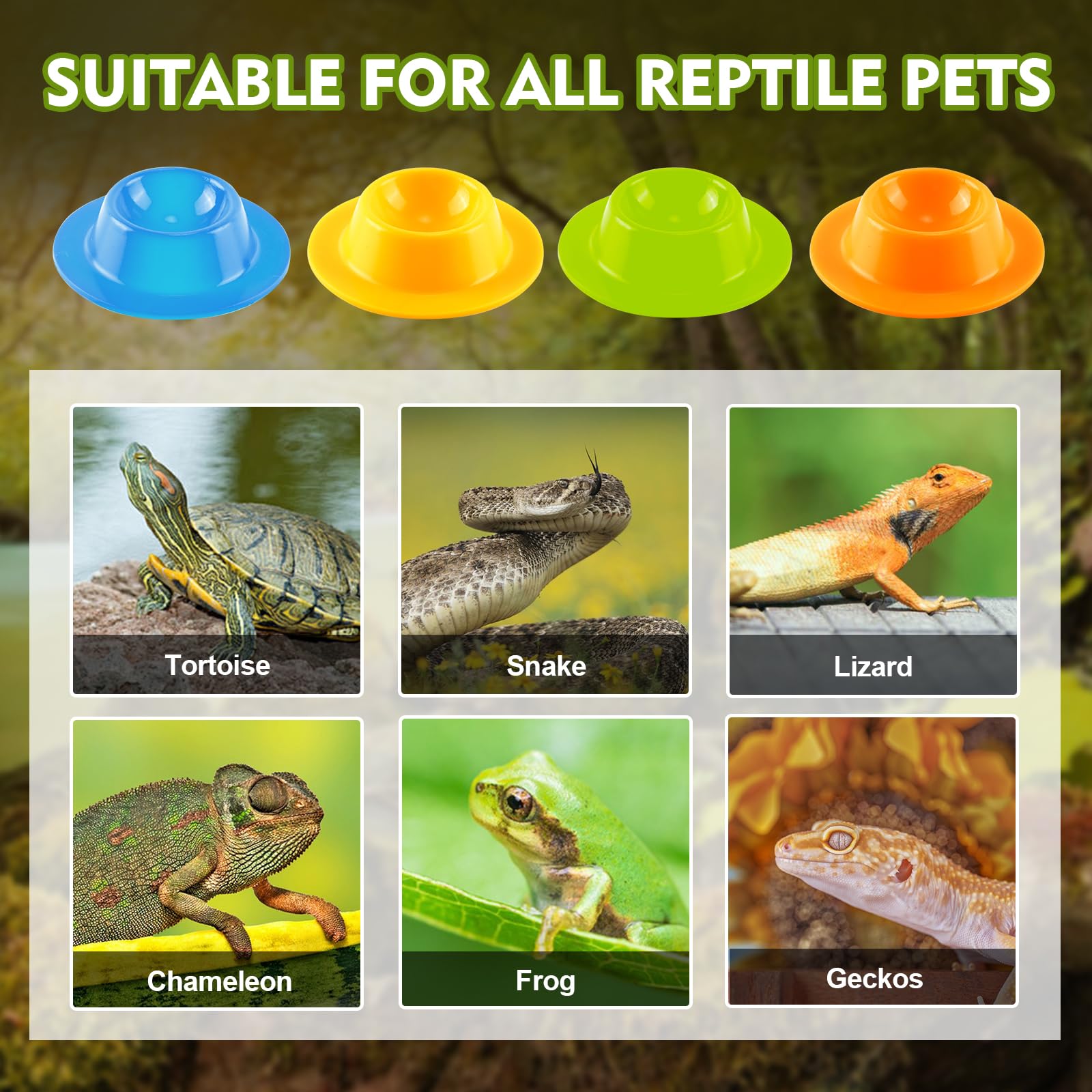 4PCS Gecko Lizard Food Bowls - Small Reptile Feeding Dish & Water Bowl Set - Durable Silicone Habitat Accessories for Hermit Crab, Bearded Dragon, Snake, Frog - Perfect for Terrariums & Reptile Enclosures