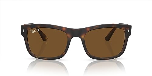 Matte Havana/Brown Polarized