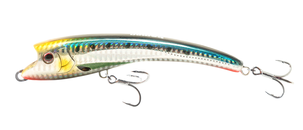 Yellow Minnow
