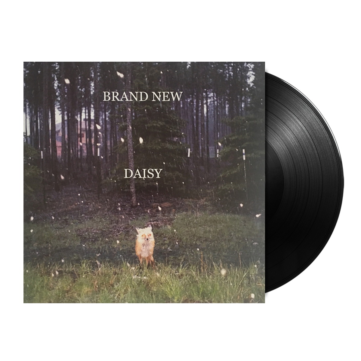 Brand New Daisy LP Vinyl Record - Classic Rock Music Album for Collectors & Audiophiles - Perfect for Home Listening, Gifts & Vintage Music Enthusiasts