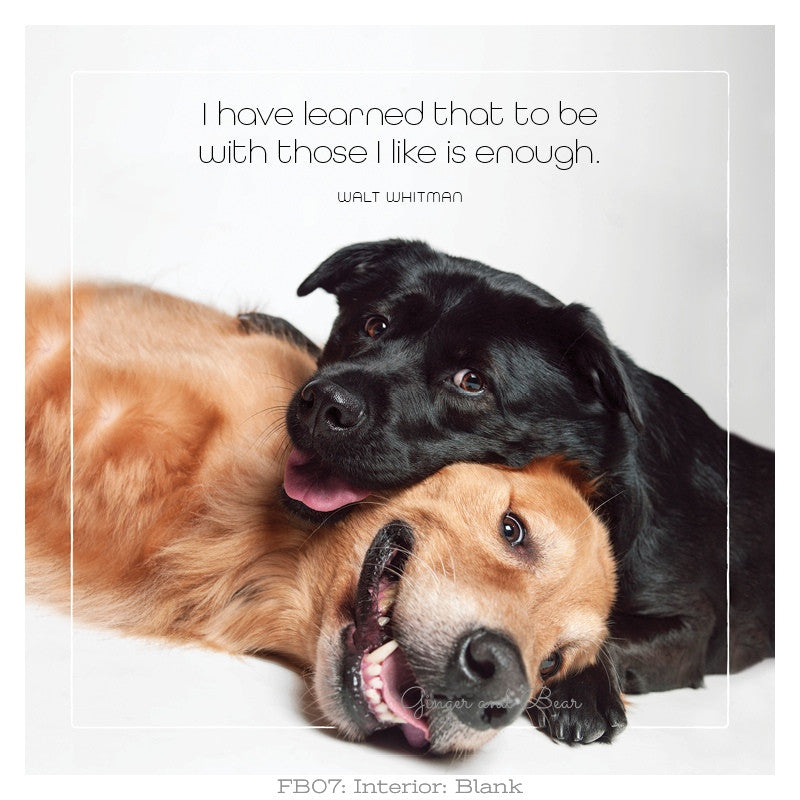 Gus & Codi's Those I Like Dog Treats - Natural & Healthy Dog Snacks for Training & Rewards - Perfect for Small, Medium & Large Breeds - Delicious Crunchy Bites Your Pup Will Love