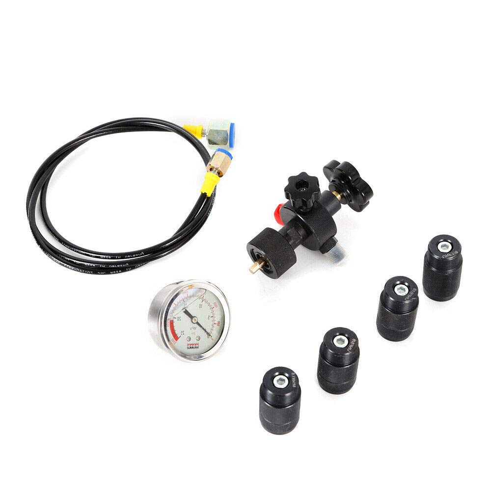 250Bar Hydraulic Accumulator Nitrogen Charging Kit with Fill Valve & Pressure Gauge - Professional Hydraulic System Maintenance Tool for Construction, Agriculture & Industrial Equipment