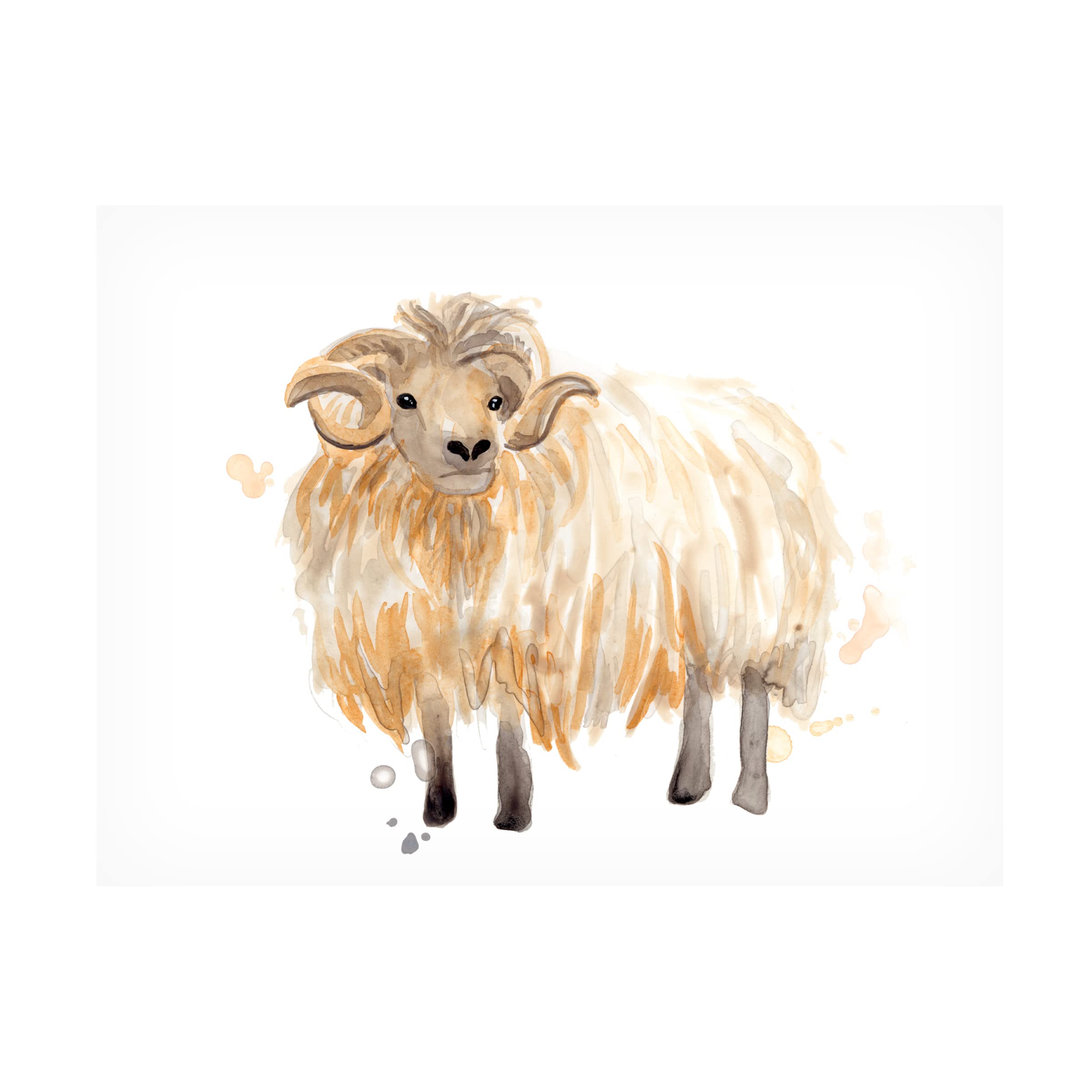 Highland Squad II Canvas Art by June Erica Vess - Premium Trademark Fine Art Wall Decor for Living Room, Bedroom & Office