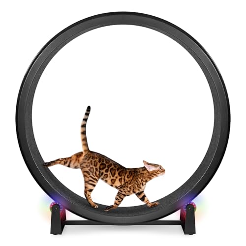 Black Wheel / Black Felt / LED Inline