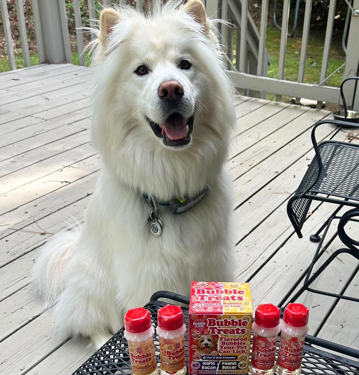 Bubble Treats Maple Bacon Pet Bubbles - 4 Pack (2.5 Fl Oz Each) | Natural Bacon Flavored Lickable Bubbles for Dogs & Cats | Safe for Bubble Toys & Blasters | Refillable Bubble Solution for Pet Playtime & Training