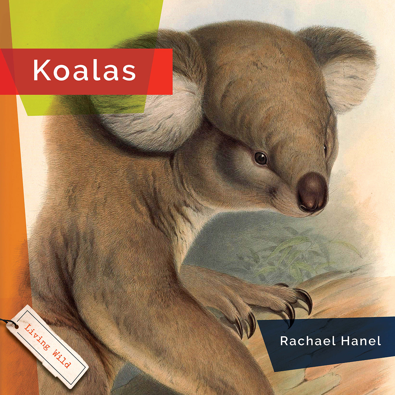 Koalas Book 9781640266032 - Learn About Koalas, Their Habitat, and Conservation - Perfect for Animal Lovers and Educational Use