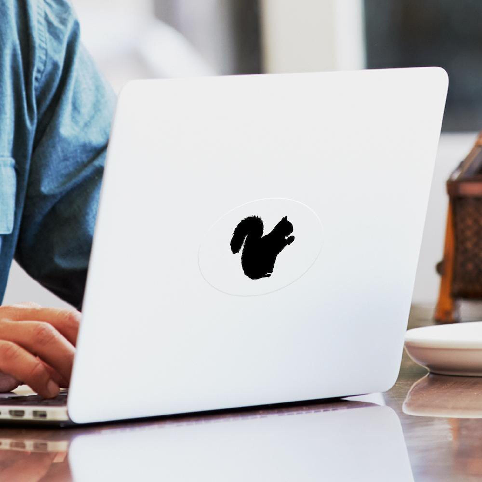 Squirrel Oval Car Sticker - Durable Bumper Decal for Cars & Laptops