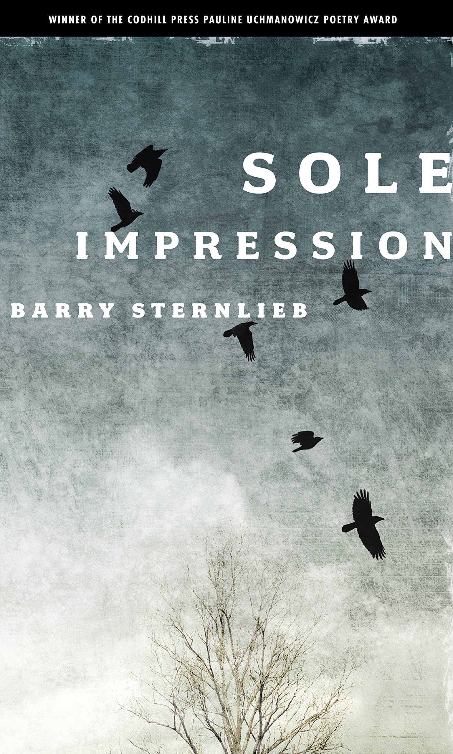 Sole Impression Poetry Book by Codhill Press - Perfect for Poetry Lovers & Literary Gifts