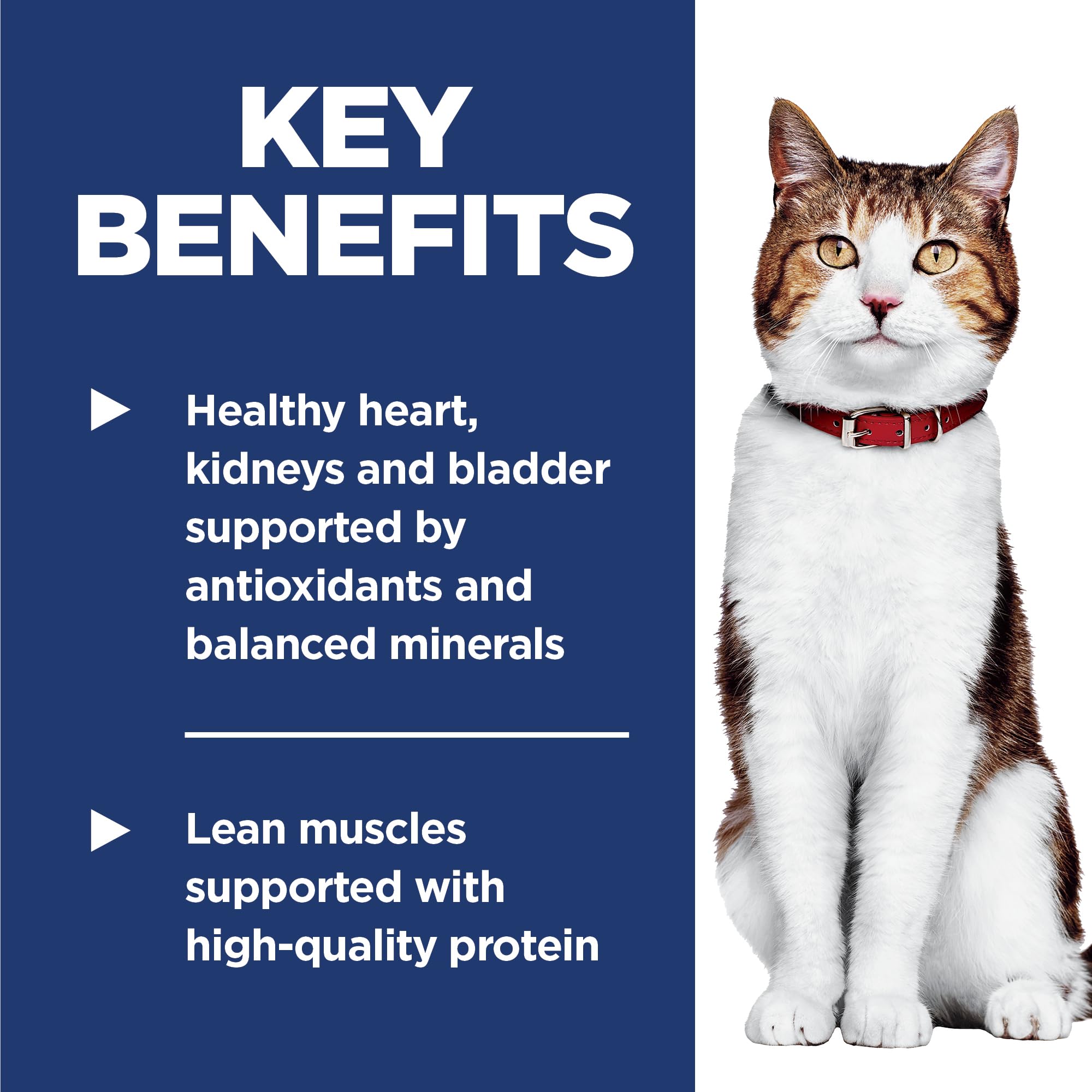 Hill's Science Diet Adult 7+ Senior Dry Cat Food - Premium Nutrition Chicken Recipe for Mature Cats (7 lb Bag) - Supports Joint Health & Vitality for Aging Felines