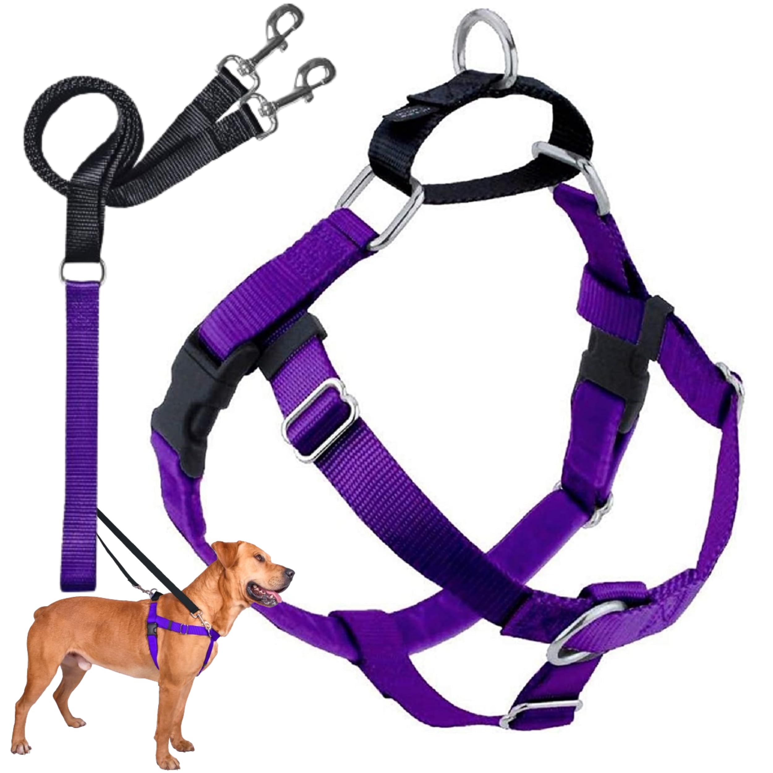 2 Hounds Design Freedom No Pull Dog Harness - Adjustable Pet Harness and Leash Set for Easy Walking & Comfortable Control - Fits Small, Medium & Large Dogs - USA Made Purple 5/8