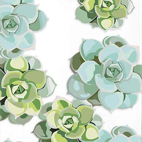Succulents