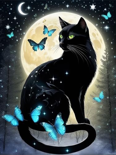 Black Cat