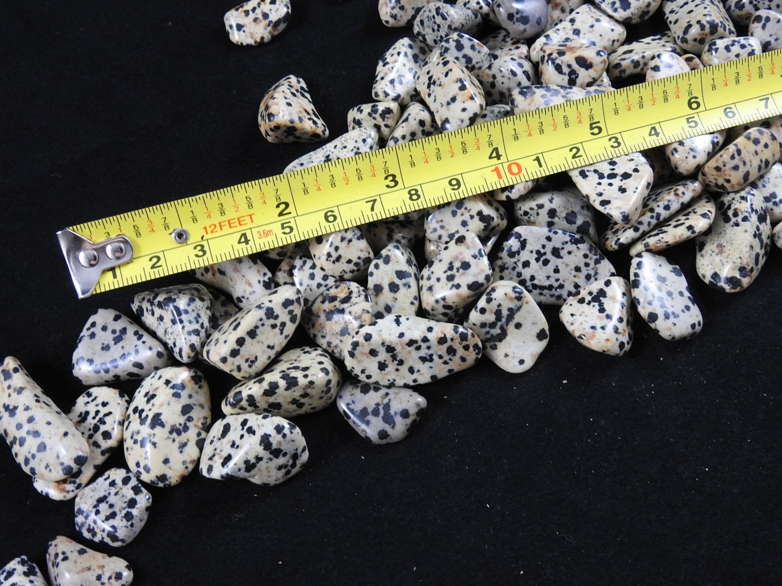 Dalmatian Jasper Tumbled Stones - Natural Polished Healing Crystals for Chakra Balancing, Meditation & Home Decor