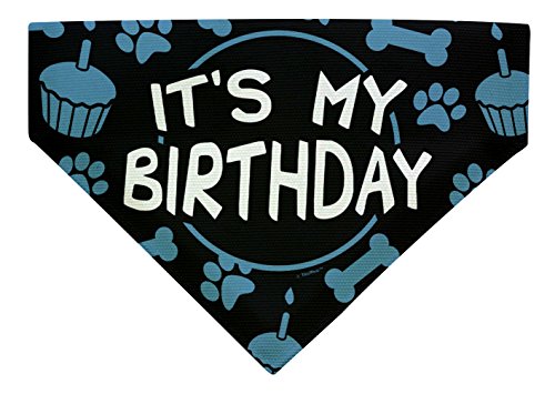 Birthday Blue