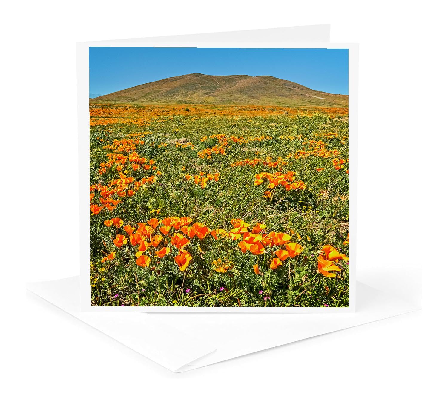 California Poppy Field Greeting Card - Stunning Landscape Photography - Perfect for Birthdays, Thank You Notes & Home Decor