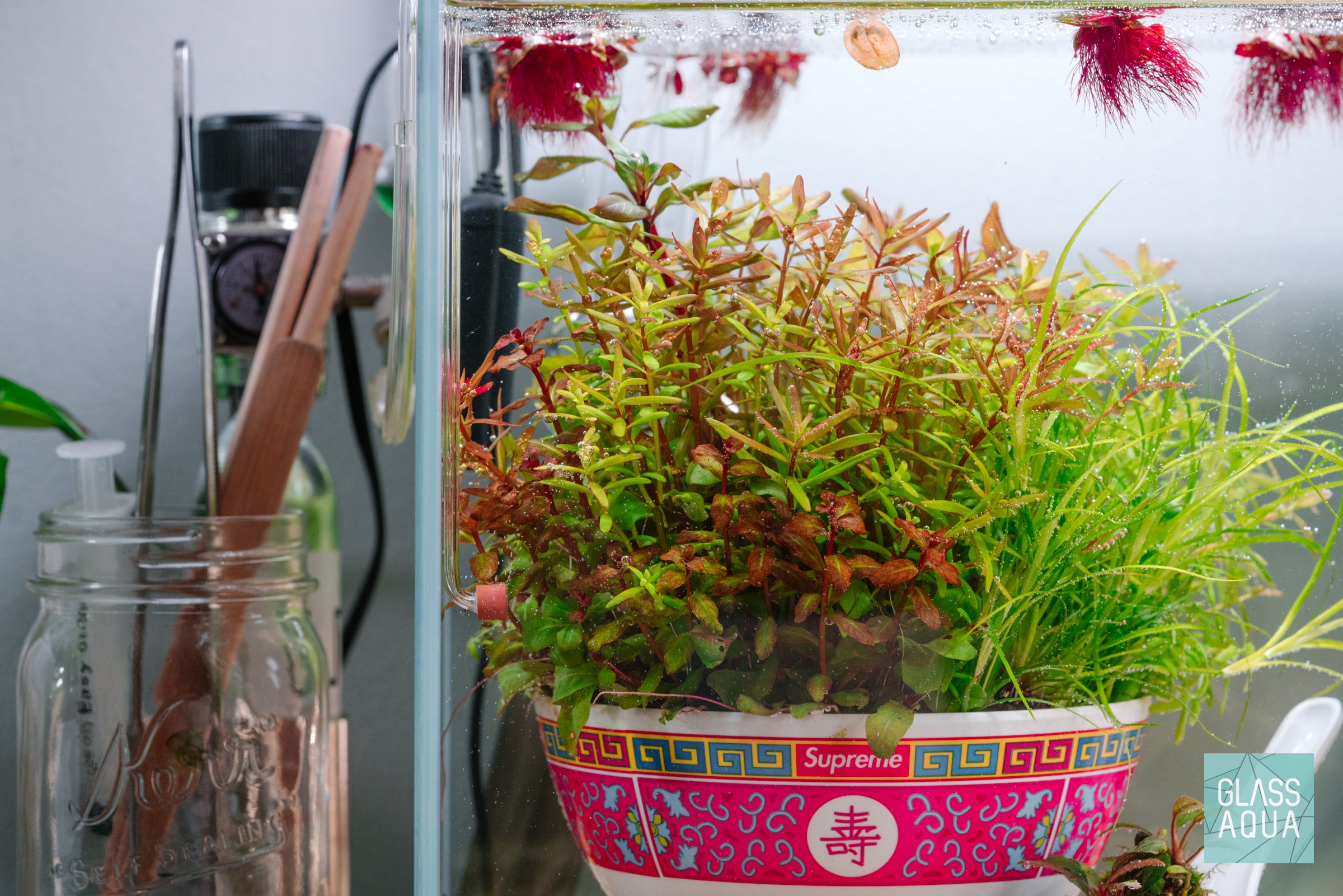 Aquarium CO2 Diffuser - Neo Curved Tiny Acrylic Bubble Diffuser for Planted Tanks | Enhance Aquatic Plant Growth in Nano & Small Fish Tanks