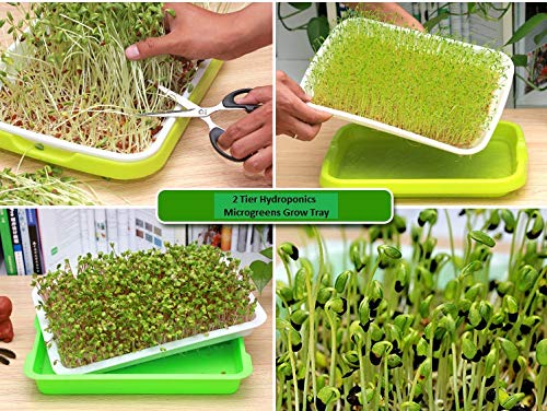 Organic BPA-Free Hydroponic Seed Sprouter Kit - 2 Pack Double Tier Grow Trays with Spray Bottle & 20 Grow Papers for Microgreens, Wheatgrass & Seed Germination - Perfect for Indoor Gardening, Healthy Eating & Urban Farming