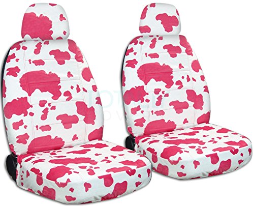 Pink-White Cow