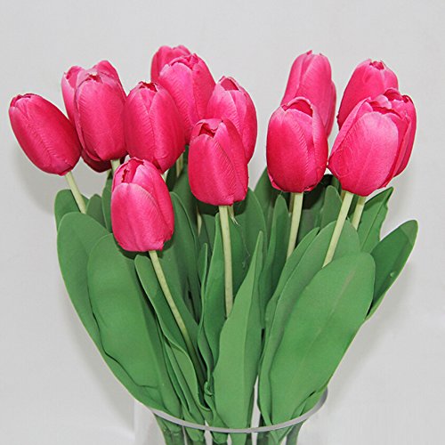 Rose Red