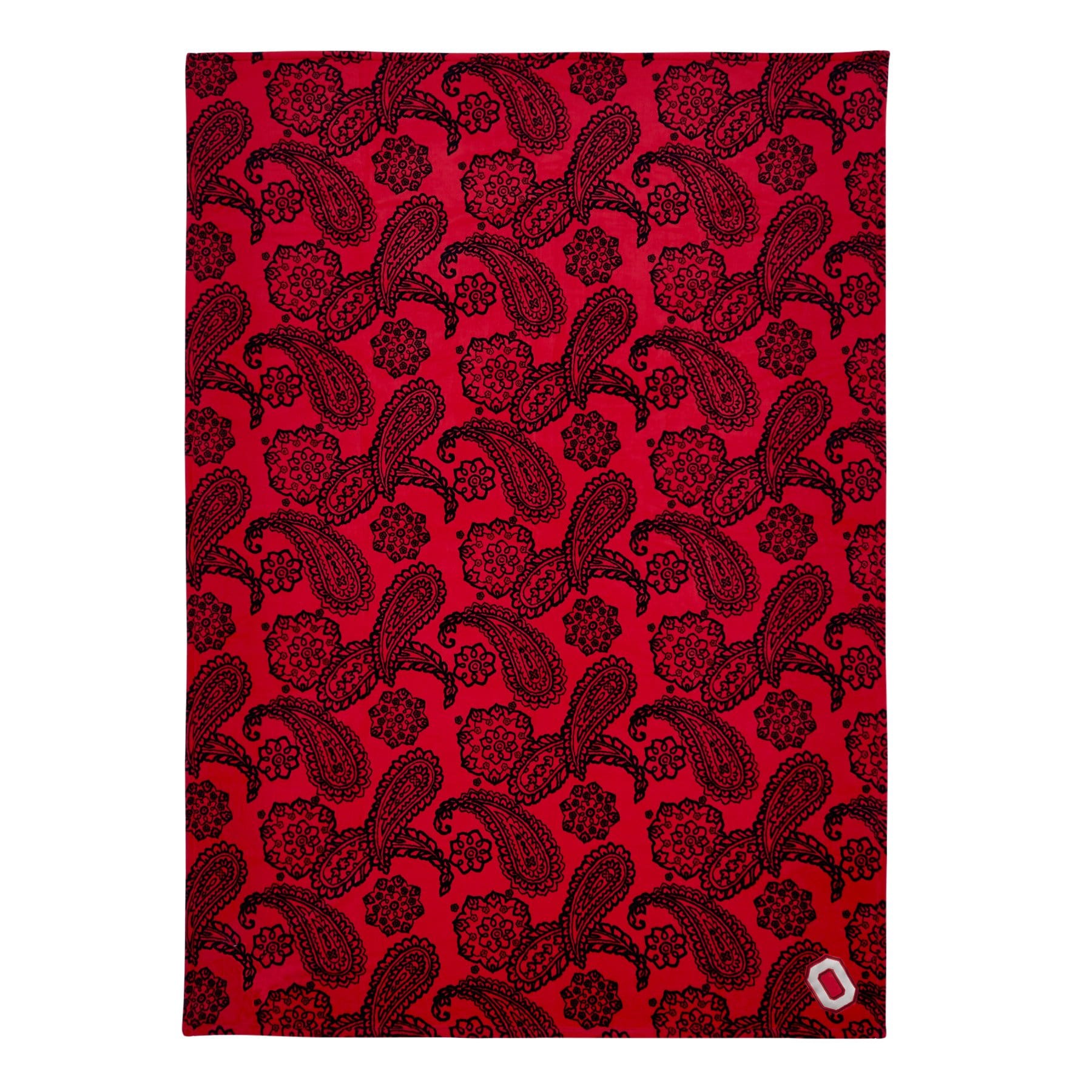 Soft & Cozy Collegiate Plush XL Throw Blanket - Extra Large 60