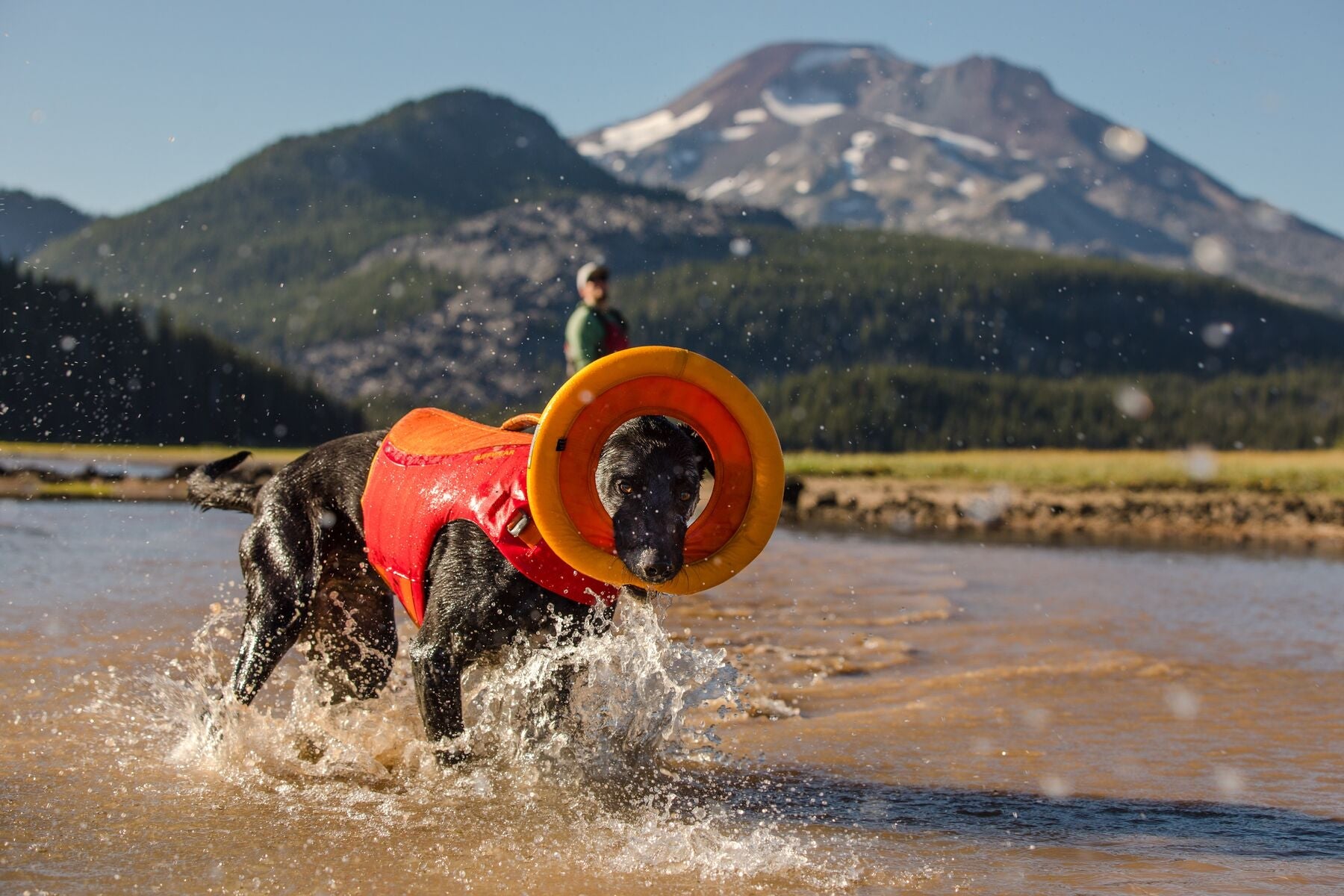 Ruffwear Hydro Plane™ Floating Dog Disc Toy - Tangelo Orange, Waterproof & Durable for Pool, Beach & Outdoor Play - Perfect for Fetch Games with Dogs