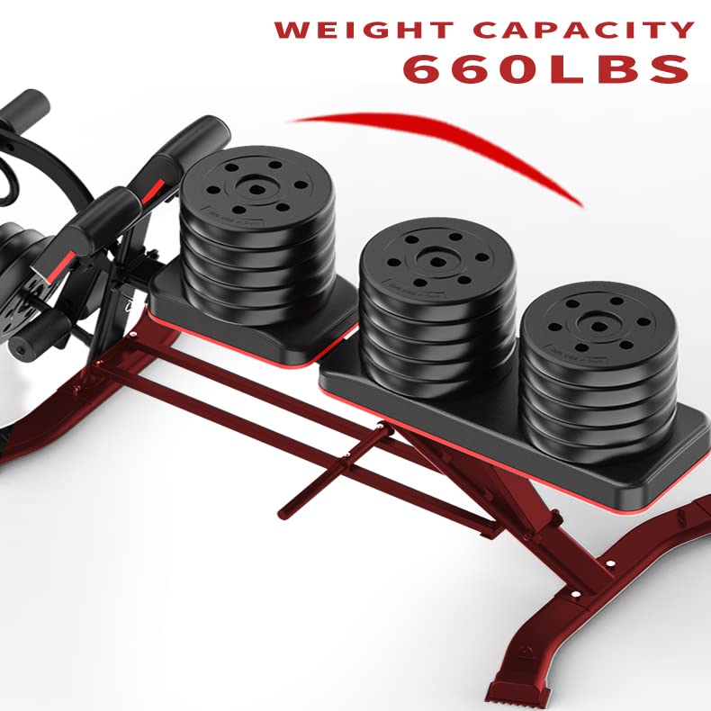 EASY BIG Adjustable Weight Bench with Leg Extension - Multi-Position Strength Training Bench for Dumbbell Exercises, Ab Workouts & Home Gym (Ideal for Full-Body Workouts & Small Spaces)