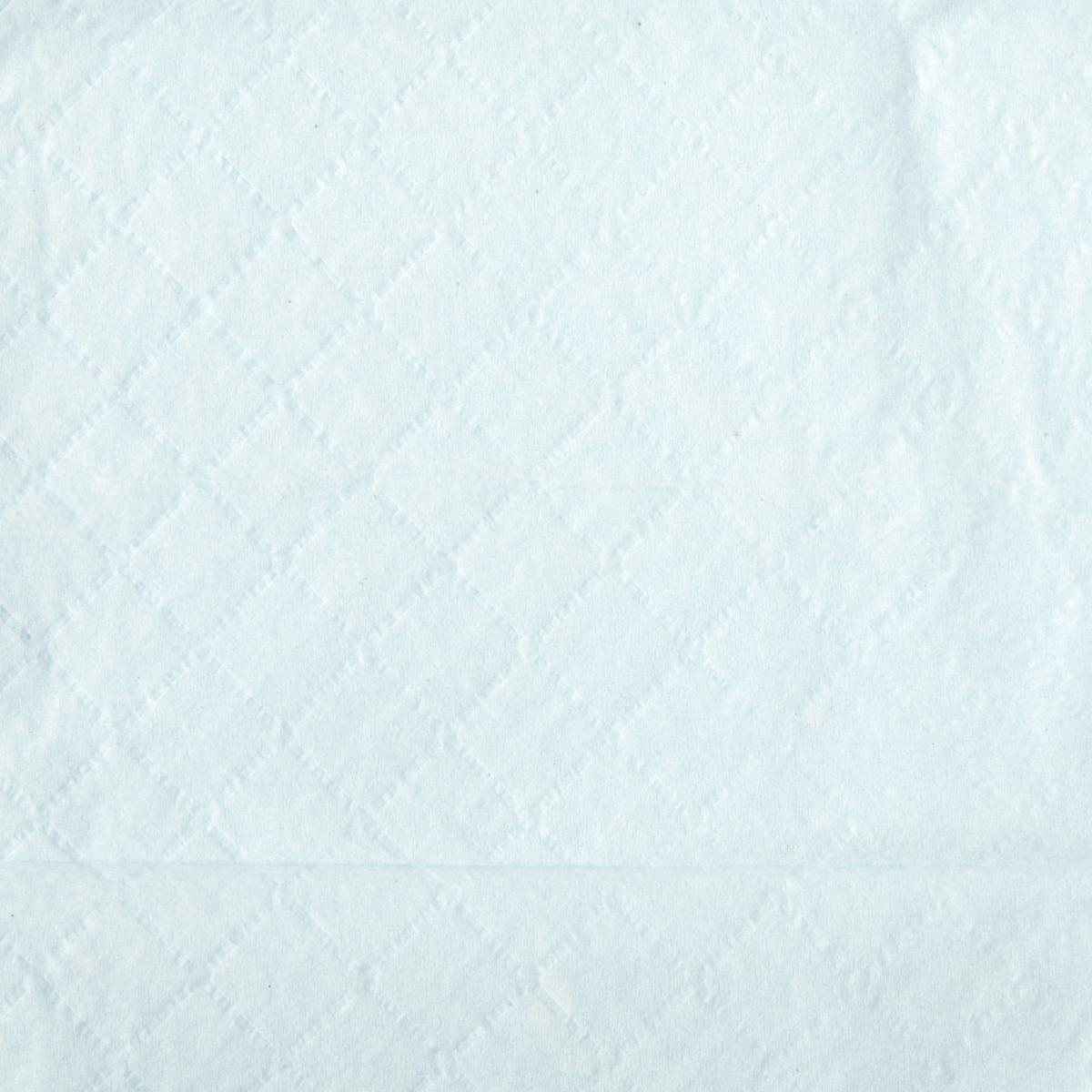 Protection Plus Disposable Underpads, 30x30 Inches - Waterproof Bed Pads for Incontinence, Pets & Medical Use - Ideal for Home Care, Hospitals & Travel