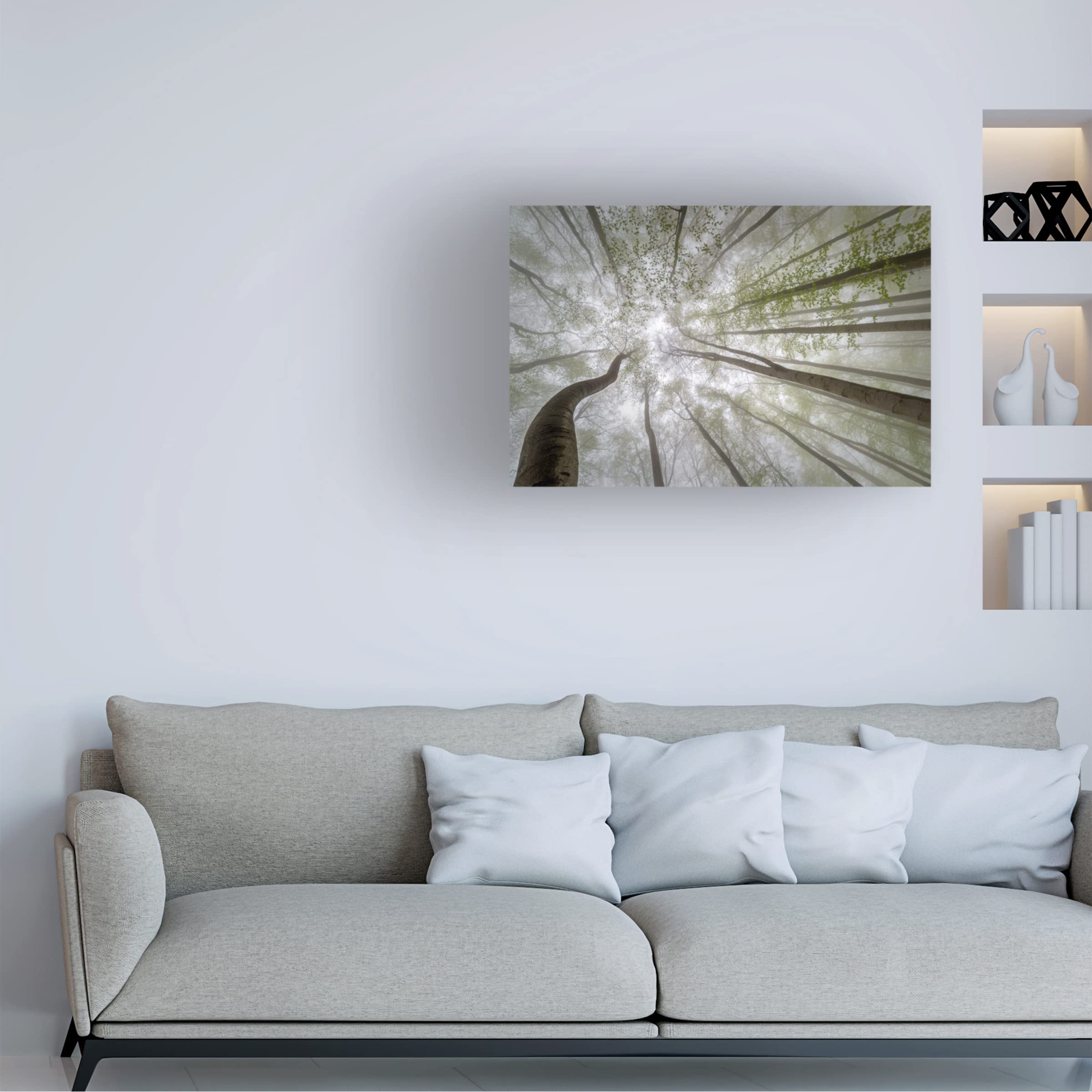 Trademark Fine Art 'Forest Views' Canvas Wall Art by Tom Pavlasek - Nature Landscape Painting for Living Room, Bedroom & Office Decor