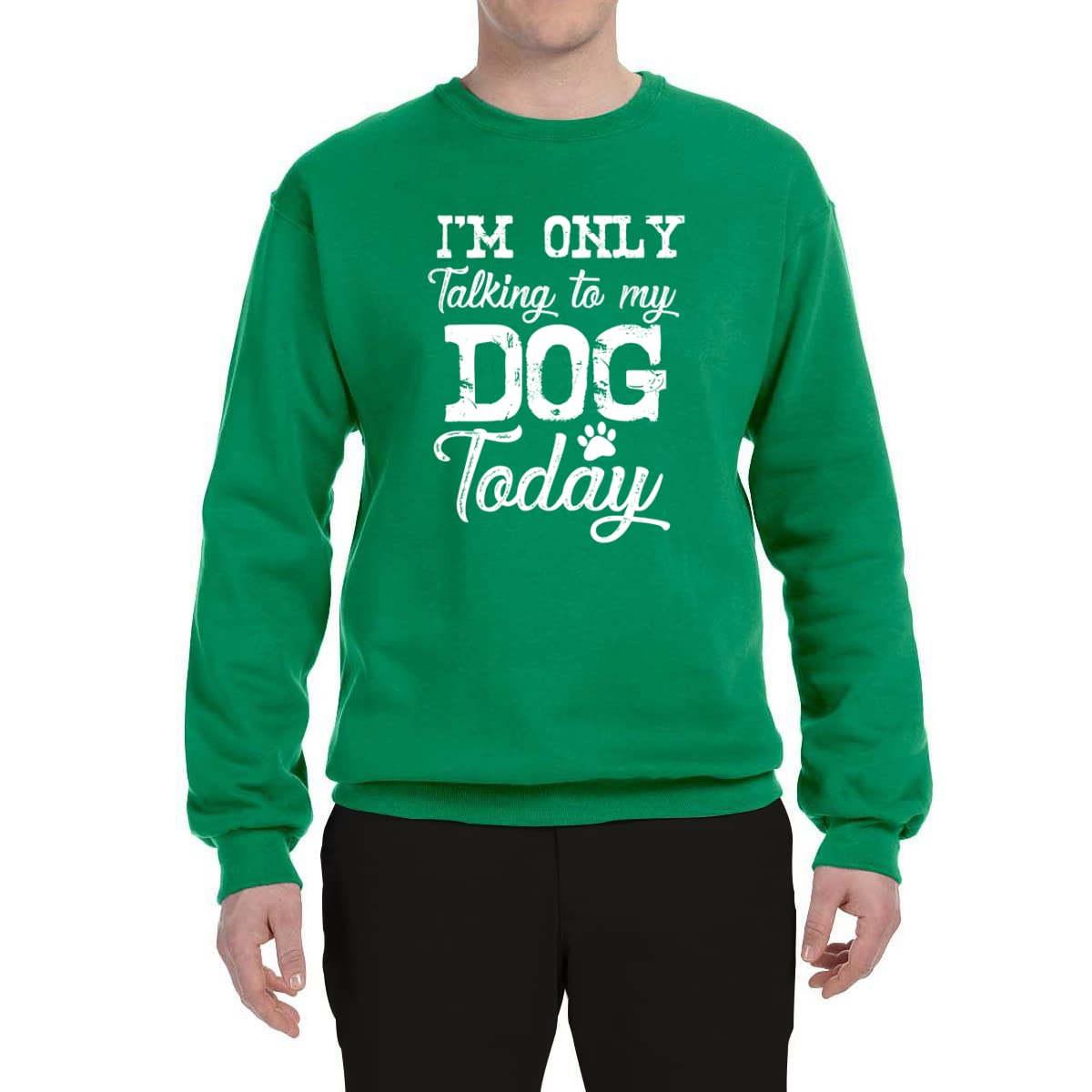 Wild Bobby 'I'm Only Talking to My Dog Today' Funny Dog Lover Graphic Sweatshirt - Unisex Crewneck Pullover for Pet Owners, Dog Walking & Casual Wear