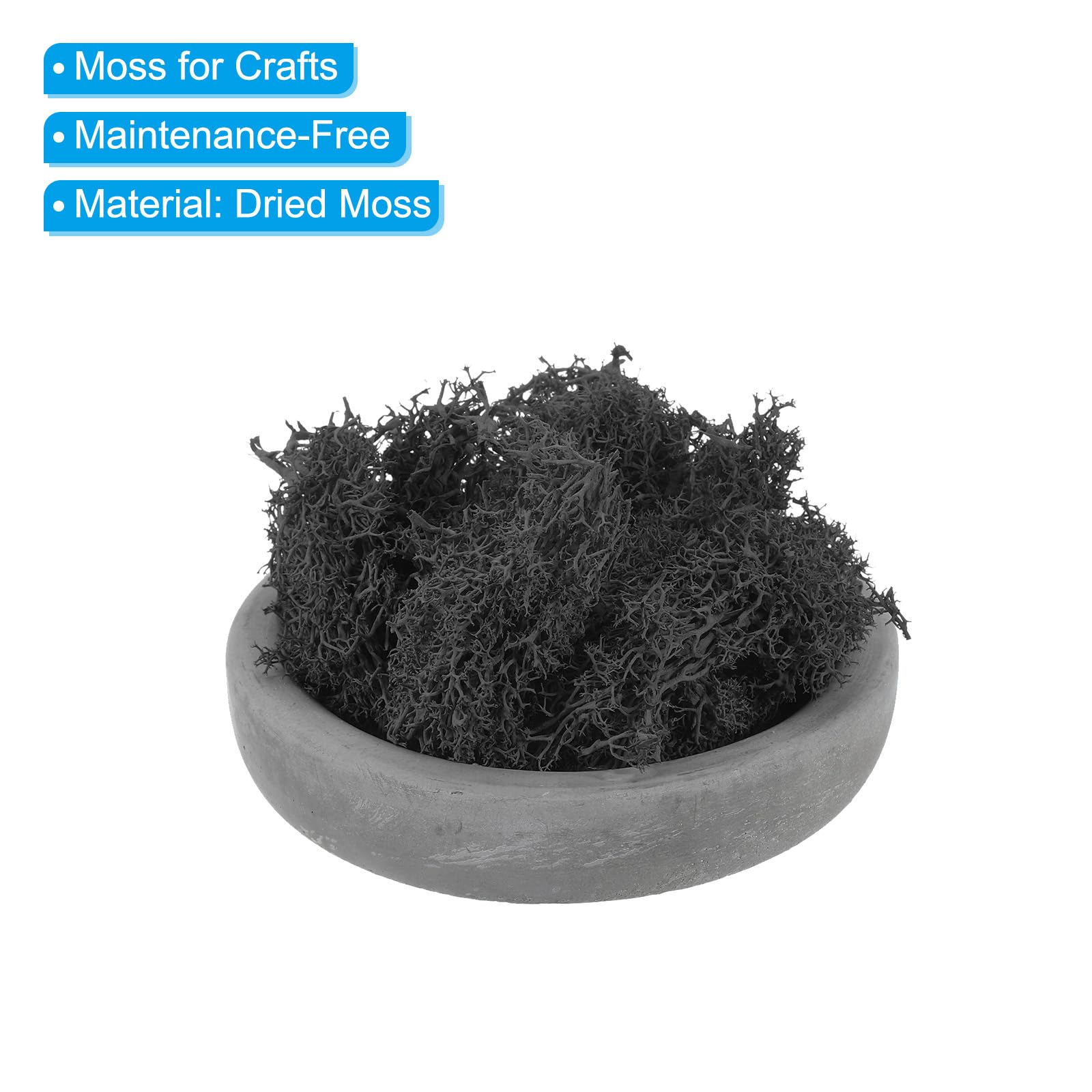 PATIKIL 1.8 OZ Artificial Moss - Preserved Reindeer Moss for Home Decor, Potted Plants & Christmas Crafts | Faux Moss Lichen Centerpiece for DIY Projects, Terrariums & Seasonal Displays (Black)