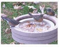 Songbird Essentials SE6017 Floating Bird Bath Raft for Wild Birds - Set of 1 | Outdoor Garden Decoration & Bird Watching Accessory | Attracts Robins, Finches & Songbirds to Your Backyard