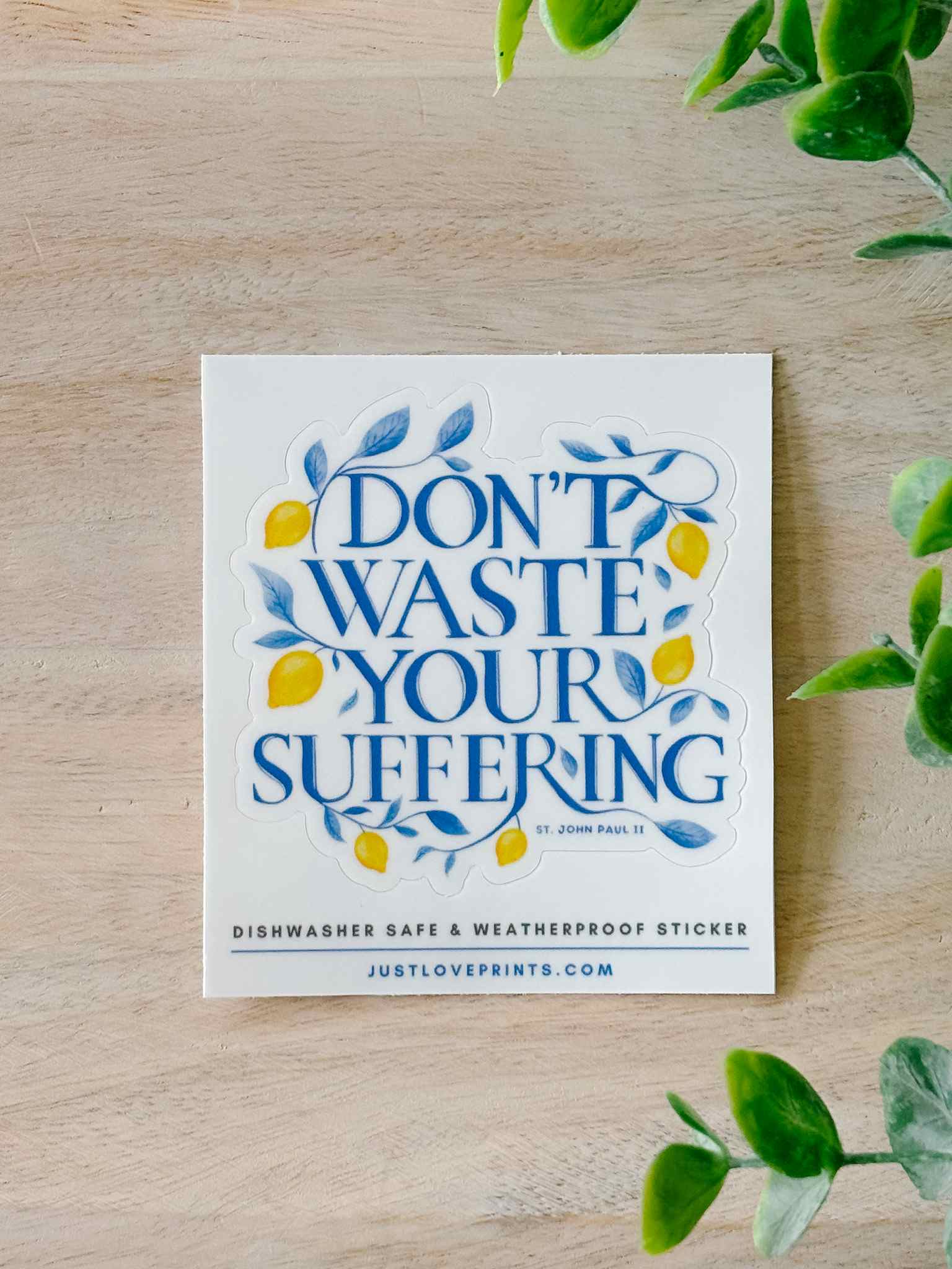 Don't Waste Your Suffering Motivational Sticker - Inspirational Quote Decal for Laptops, Journals & Water Bottles - Perfect for Self-Improvement & Daily Encouragement