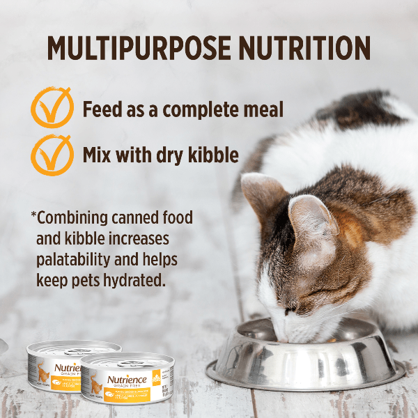 Nutrience Grain Free Turkey, Chicken & Liver Pate Canned Cat Food - High Protein Wet Cat Food for Adult & Senior Cats - Perfect for Picky Eaters & Digestive Health Support