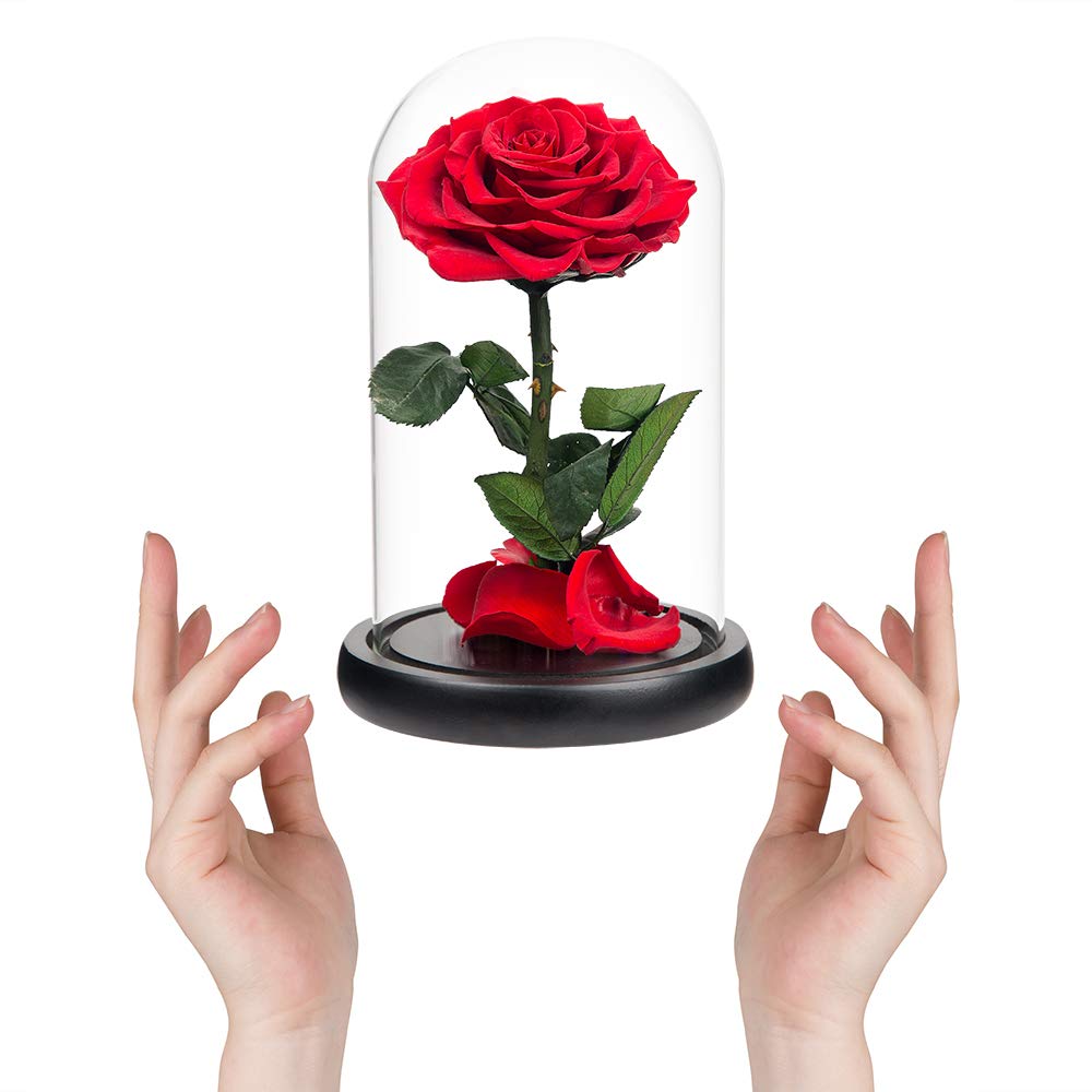 Handmade Real Preserved Red Roses in Glass Dome - Never Withering Romantic Gift for Her, Mother's Day, Birthday, Anniversary | Perfect for Home Decor, Wedding Centerpieces, and Special Occasion Gifts